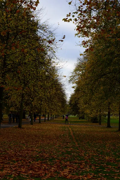 DSC_0468 (Large).JPG